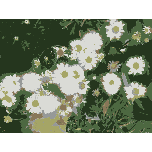 So many Missouri aiflowers flowers 1